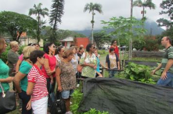 Foto - OFICINA DE HORTAS E JARDINS - 11/04/2014