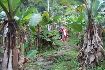 Foto - Passeio Monte Crista 2014 