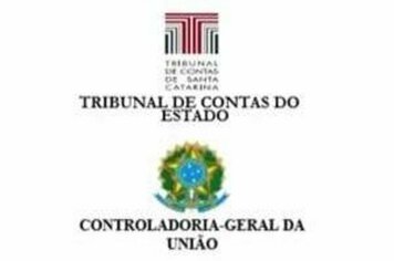  Indícios de recebimento do auxílio emergencial por servidores públicos municipais de SC 